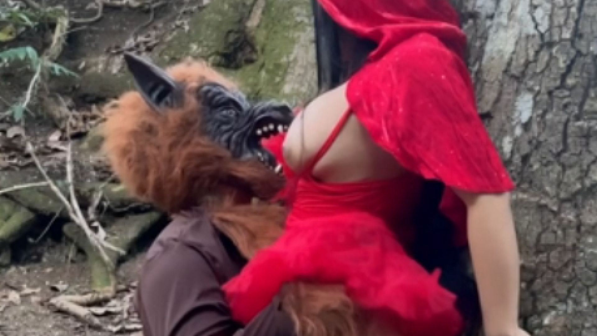 Wolf devours Red Riding Hood's delicious vagina